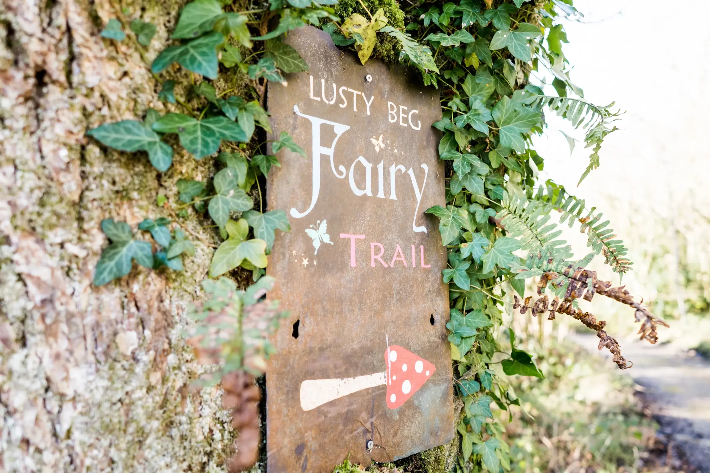 The magical Fairy Trail