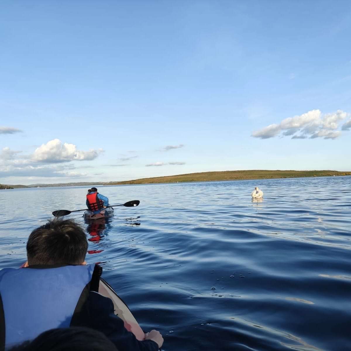 Spring Adventures Together