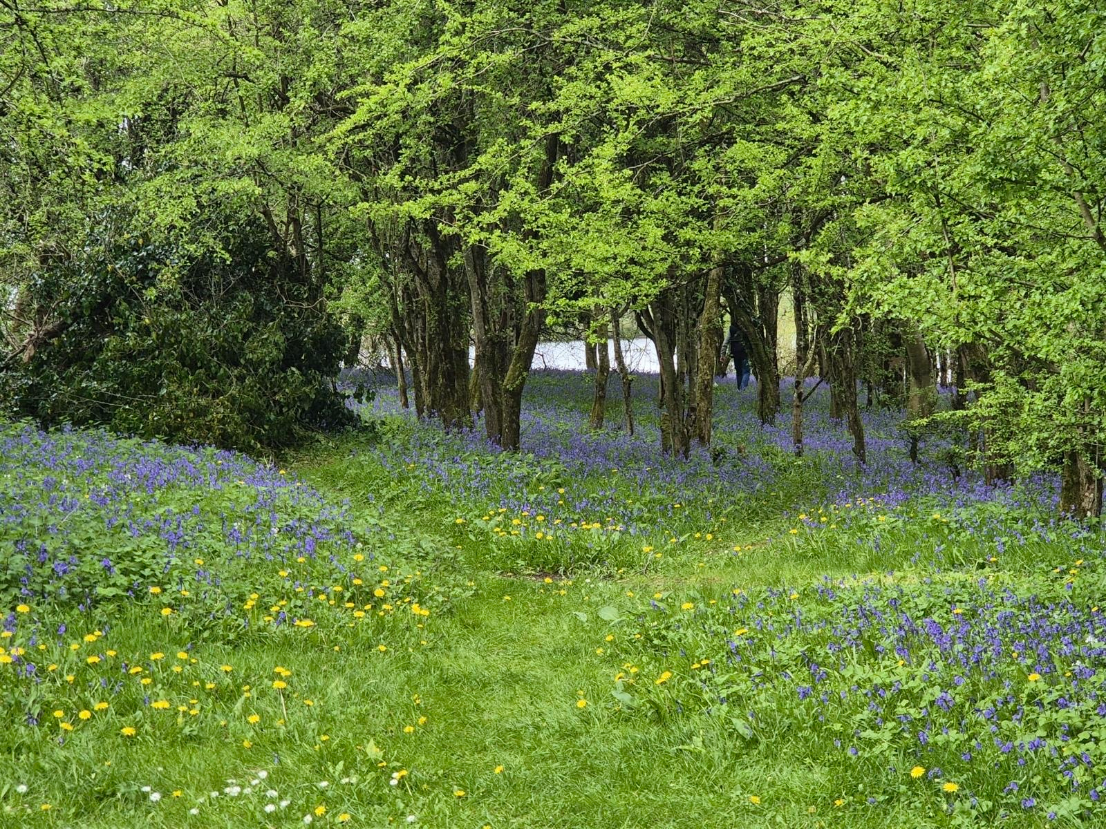Spring Escape: Inish Davar Experience